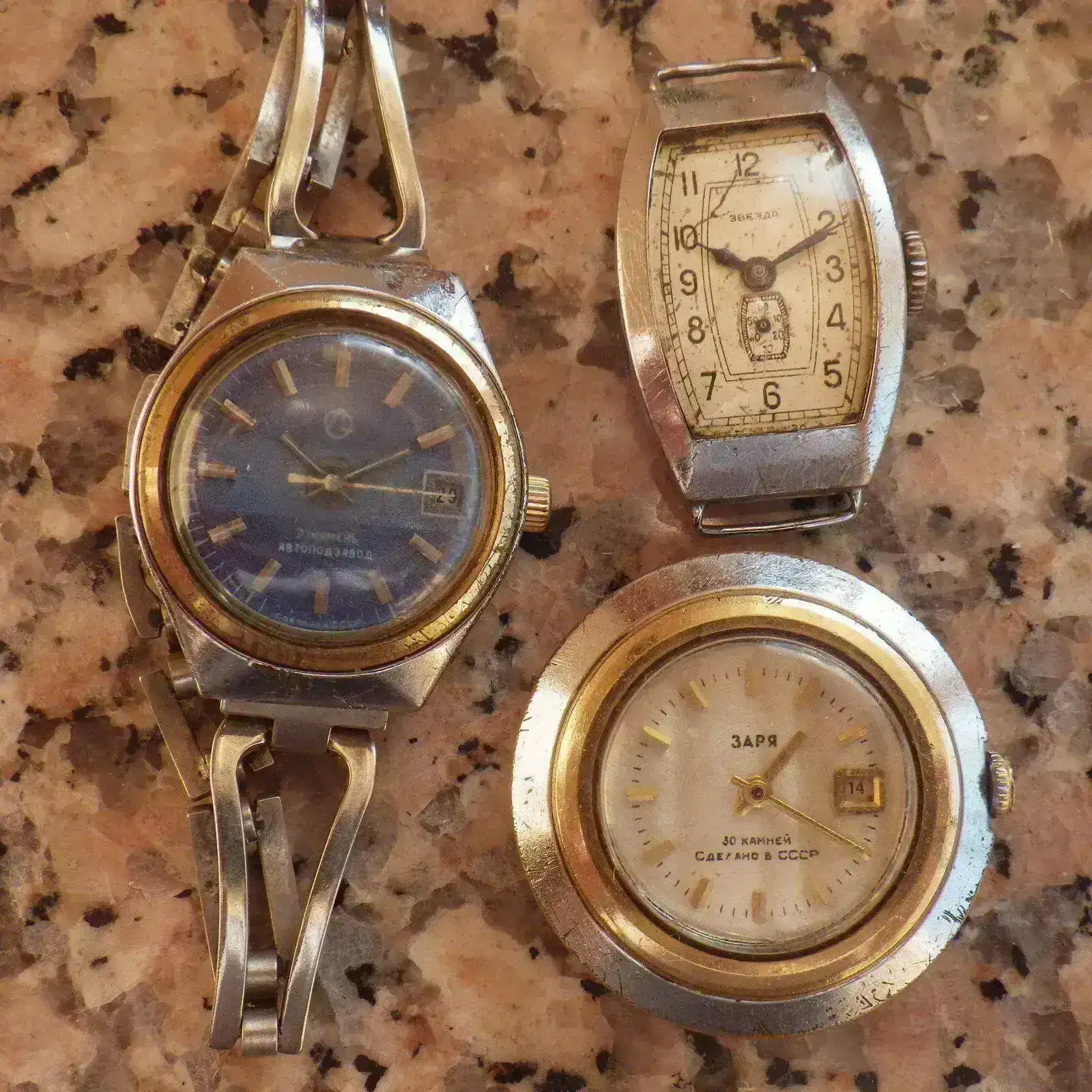 IMGP4722.webp