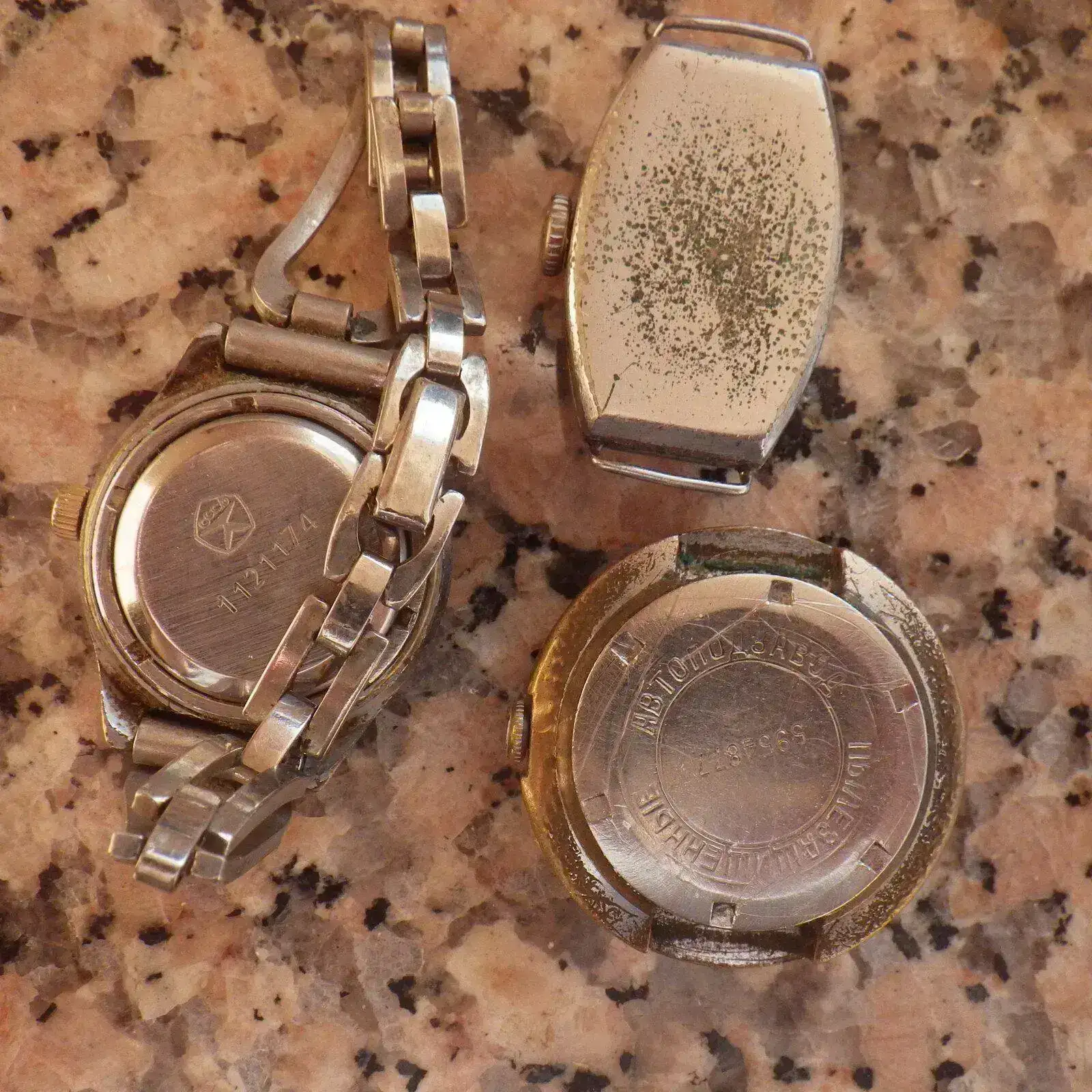 IMGP4723.webp