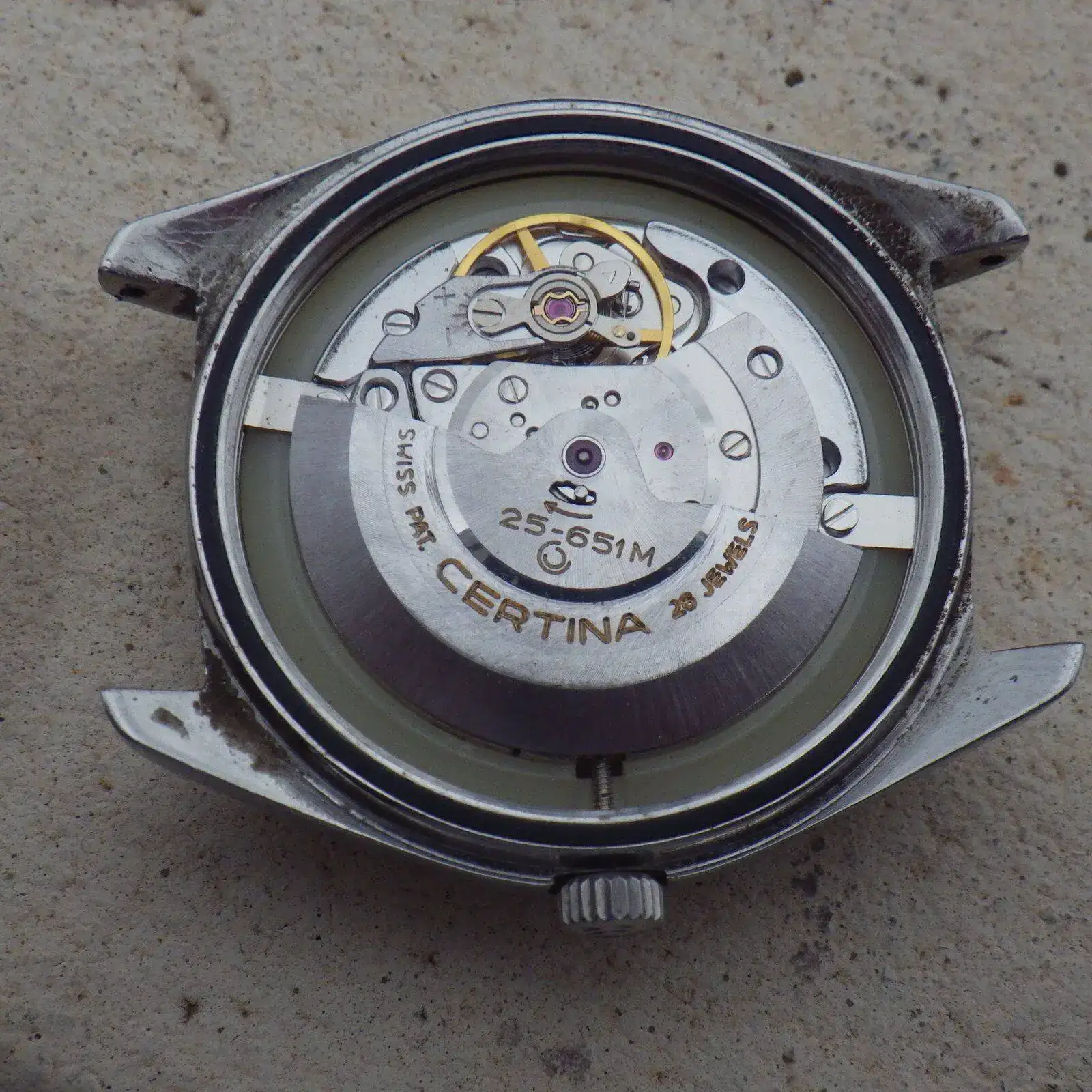 IMGP4752.webp
