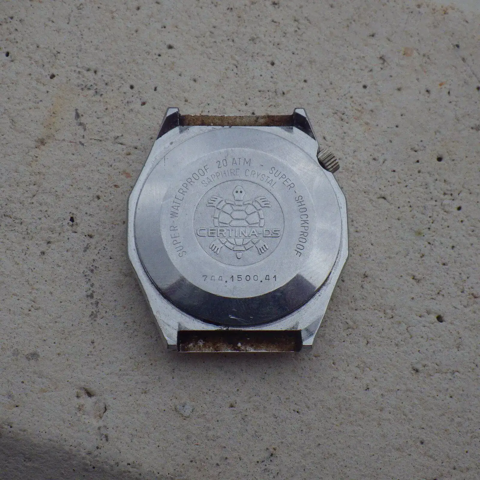IMGP4758.webp