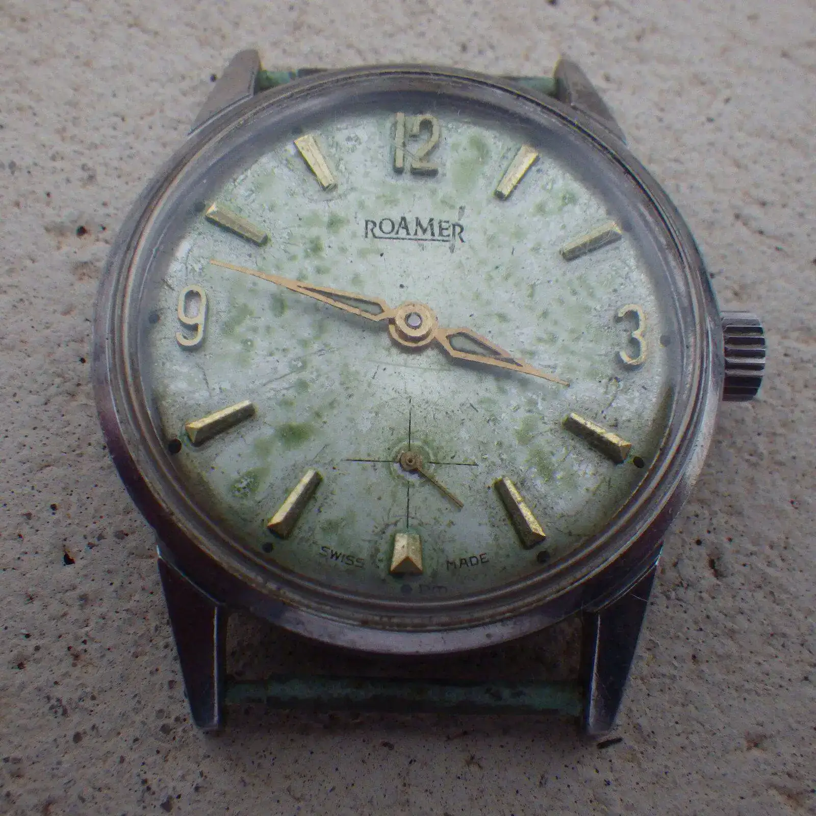 IMGP4780.webp