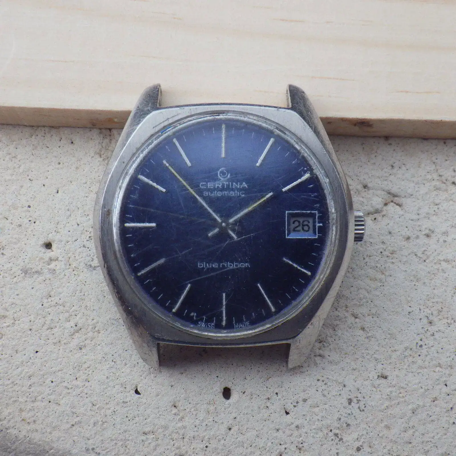 IMGP4800.webp