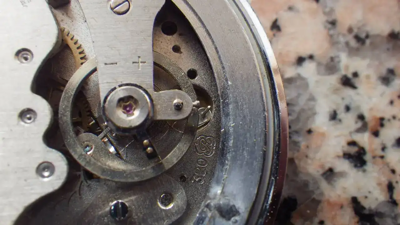 IMGP4823.webp