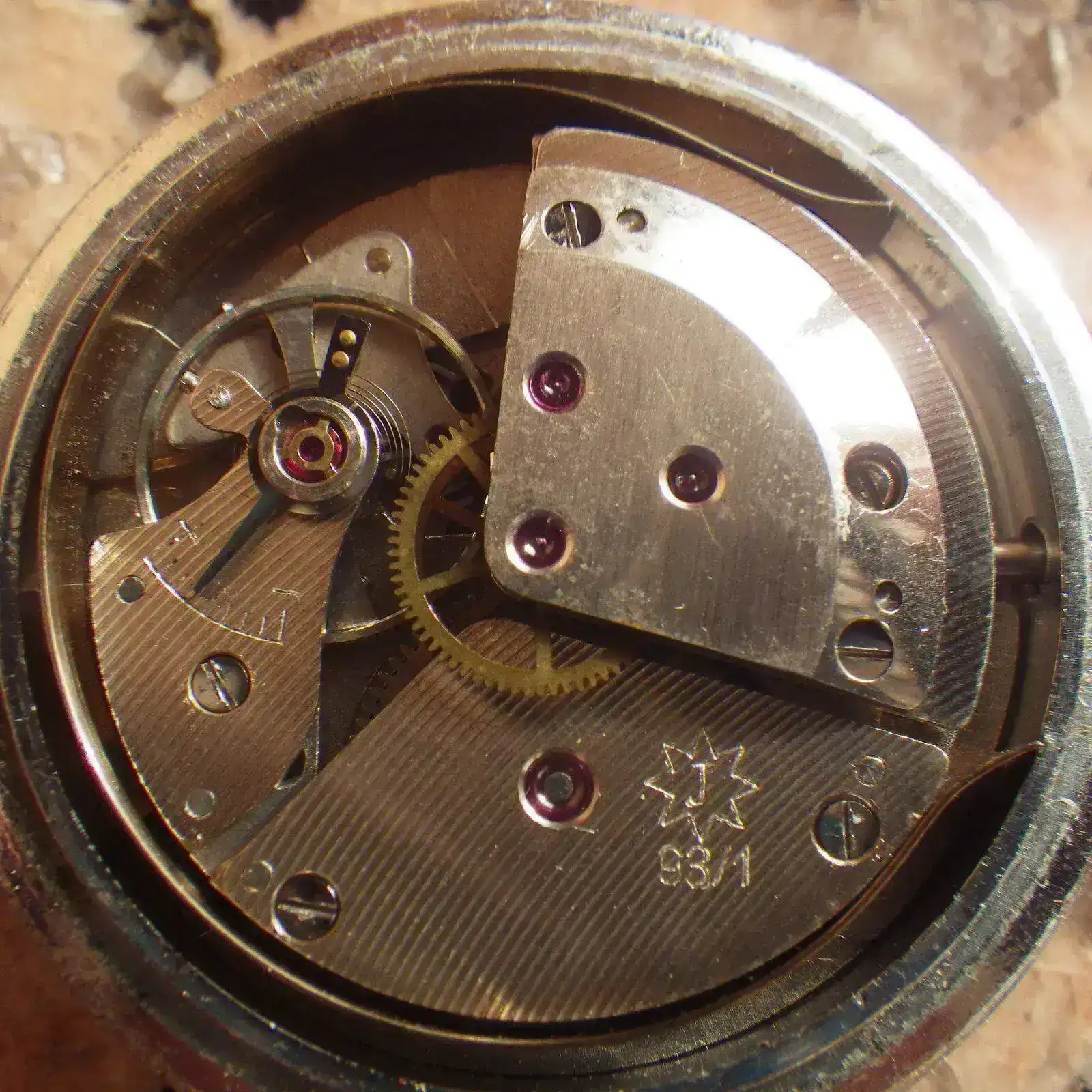 IMGP4833.webp