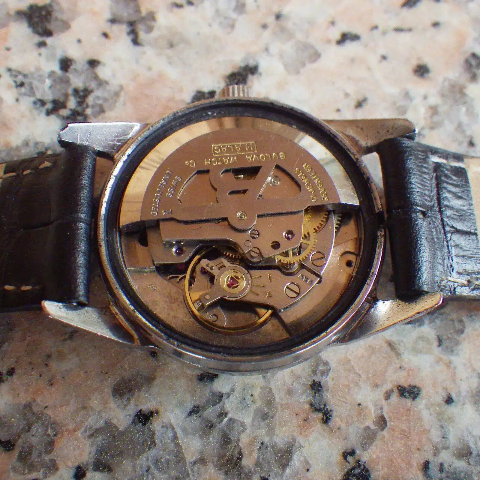 IMGP4840.webp