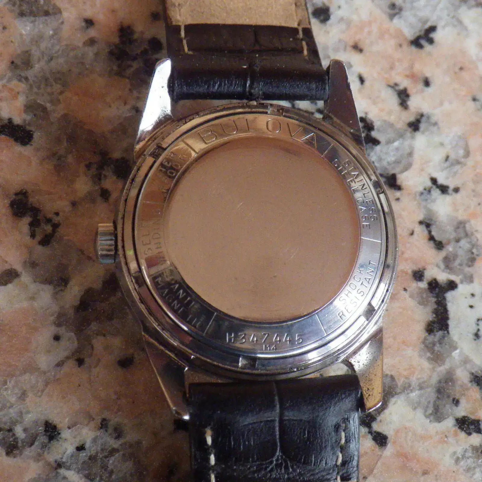 IMGP4841.webp