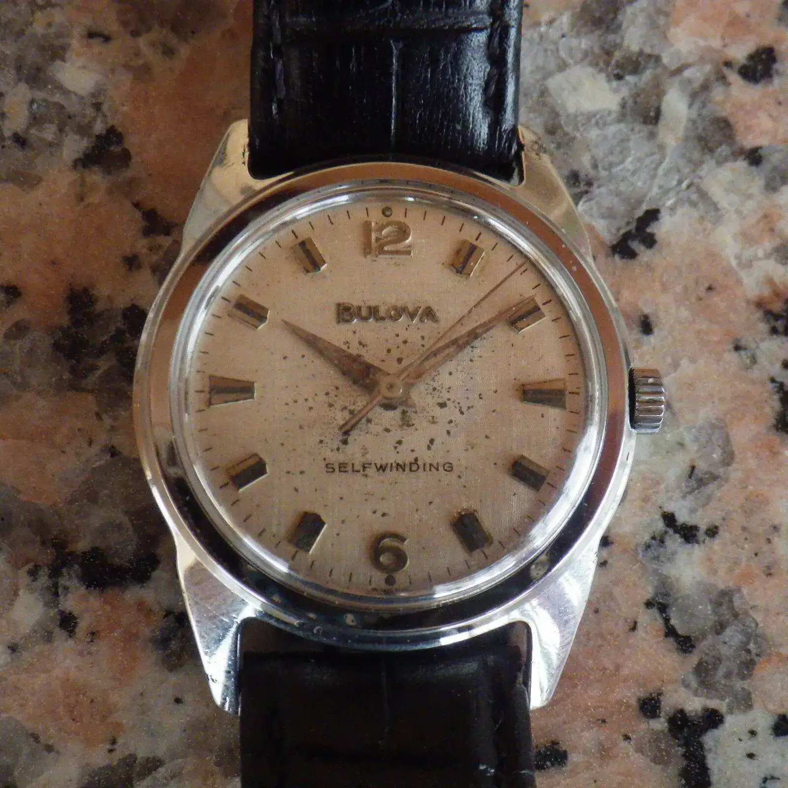 IMGP4842.webp