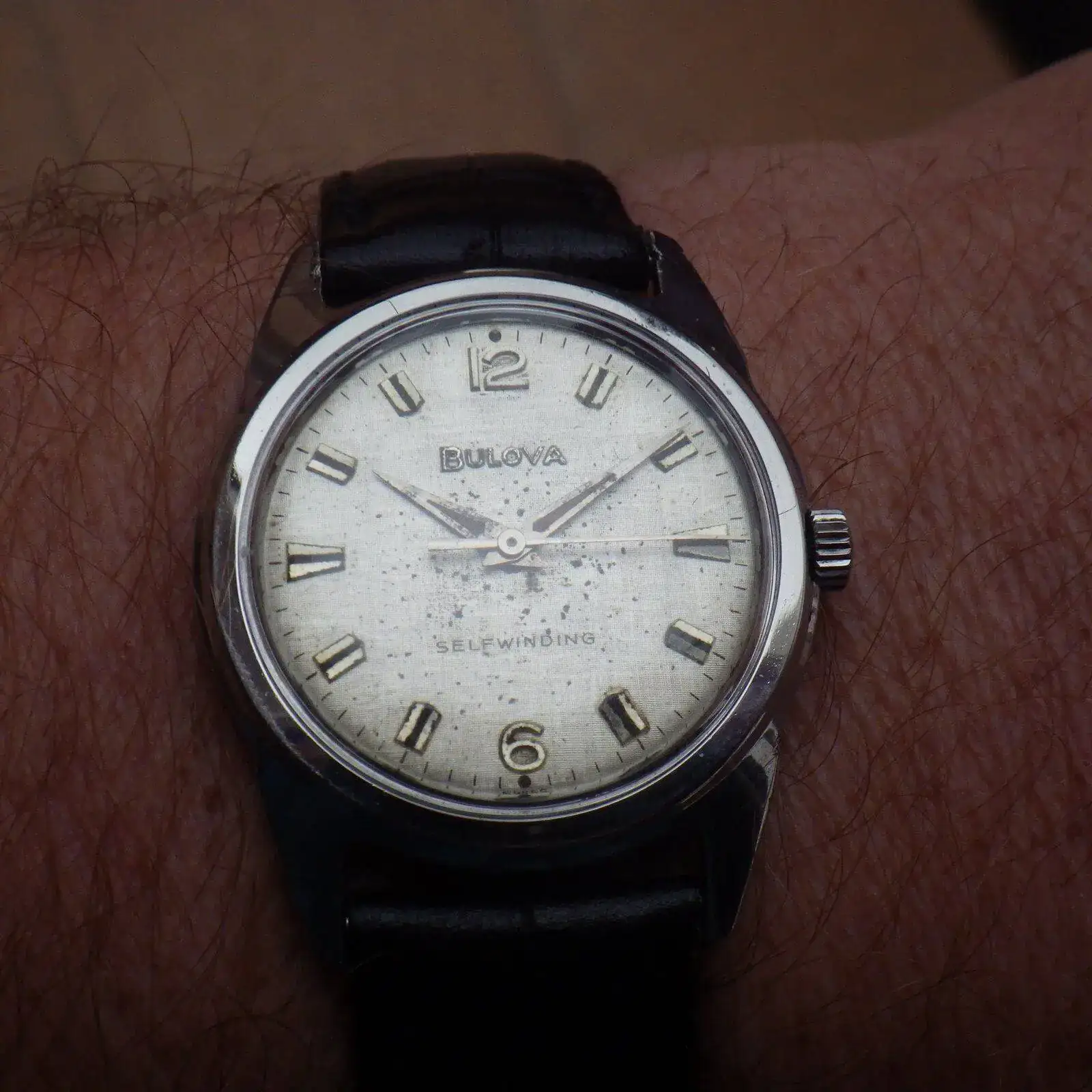 IMGP4843.webp