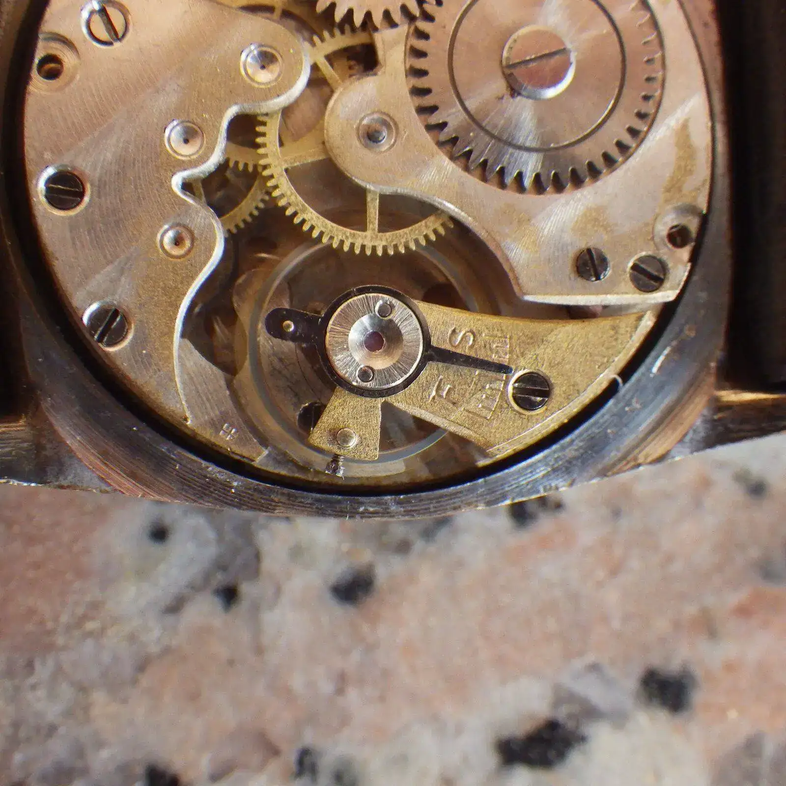 IMGP4847.webp