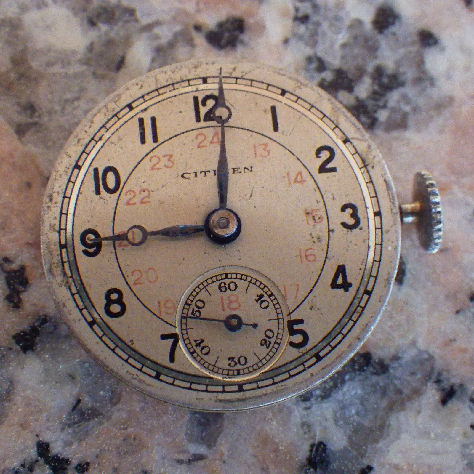 IMGP4849.webp