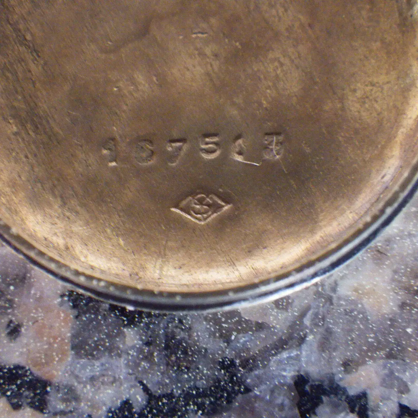 IMGP4851.webp
