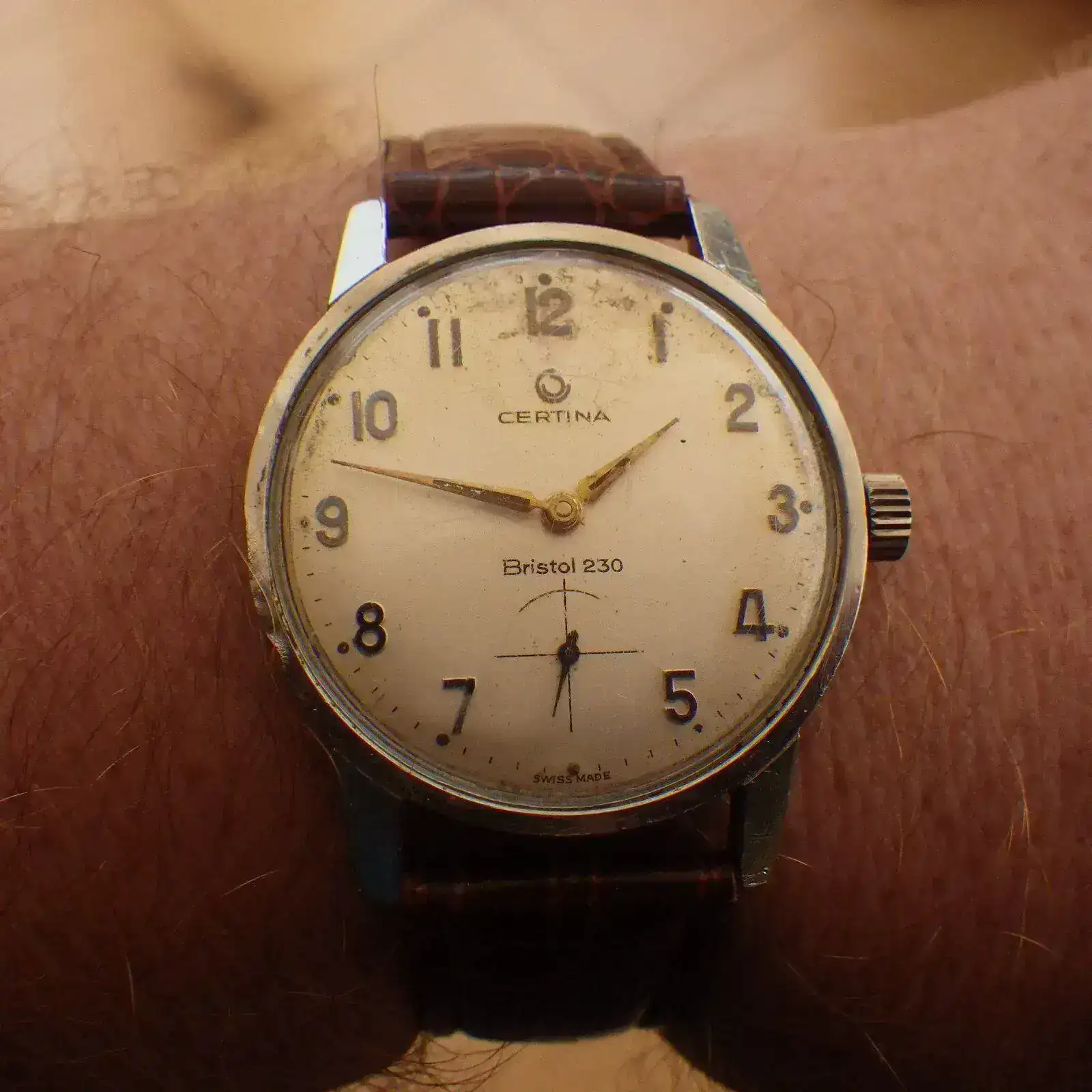 IMGP4867.webp