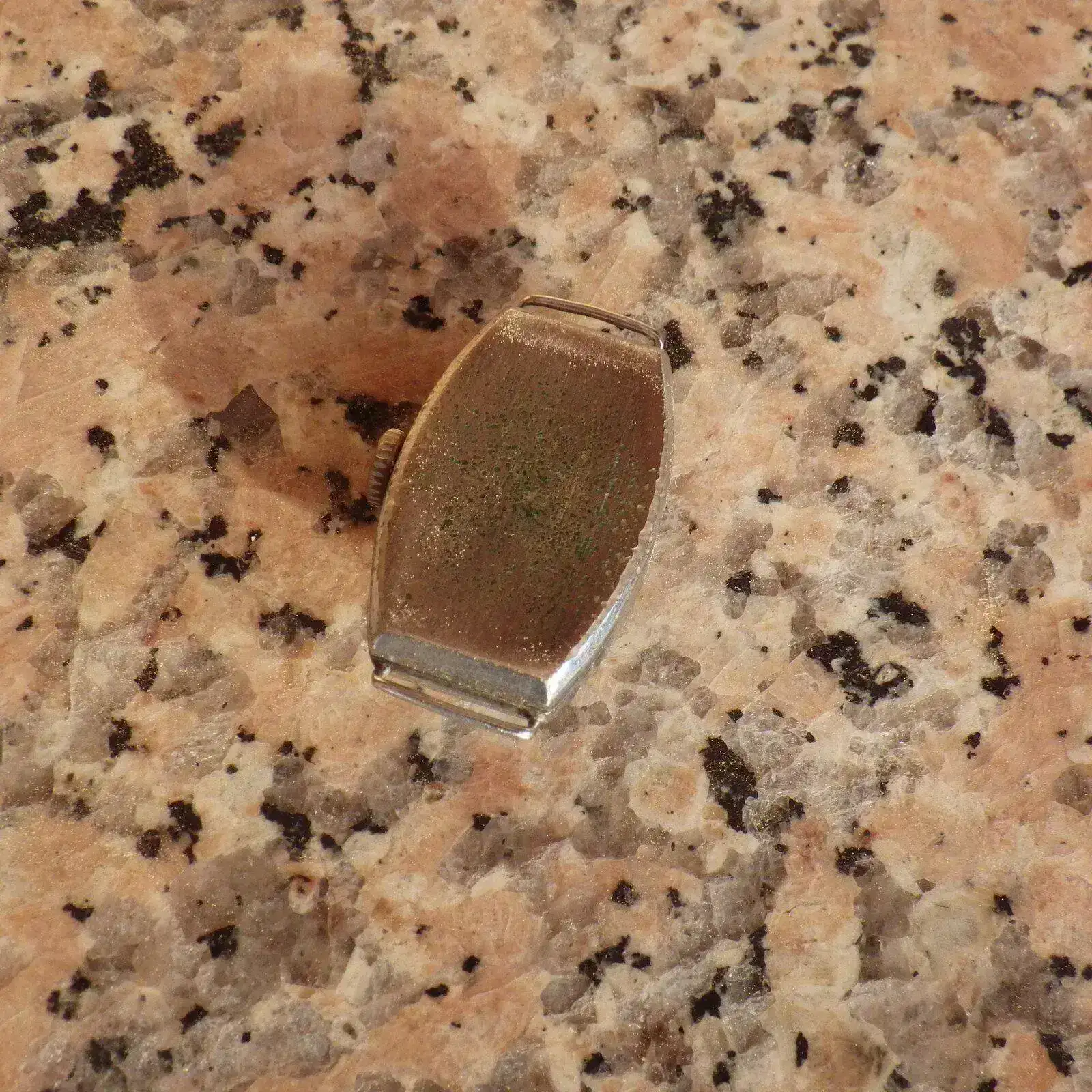 IMGP4878.webp