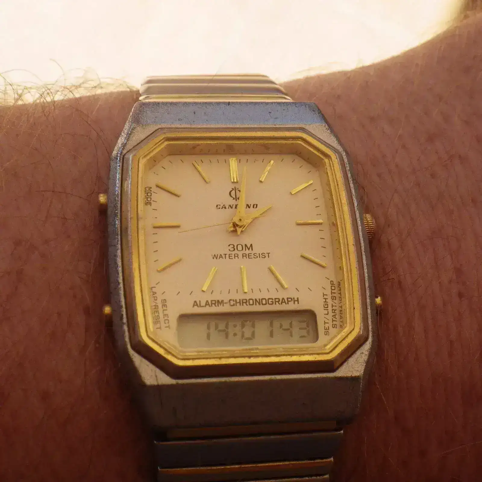 IMGP4896.webp