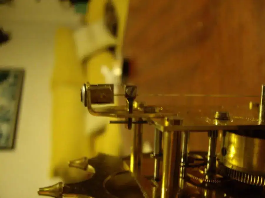 IMGP4918.webp