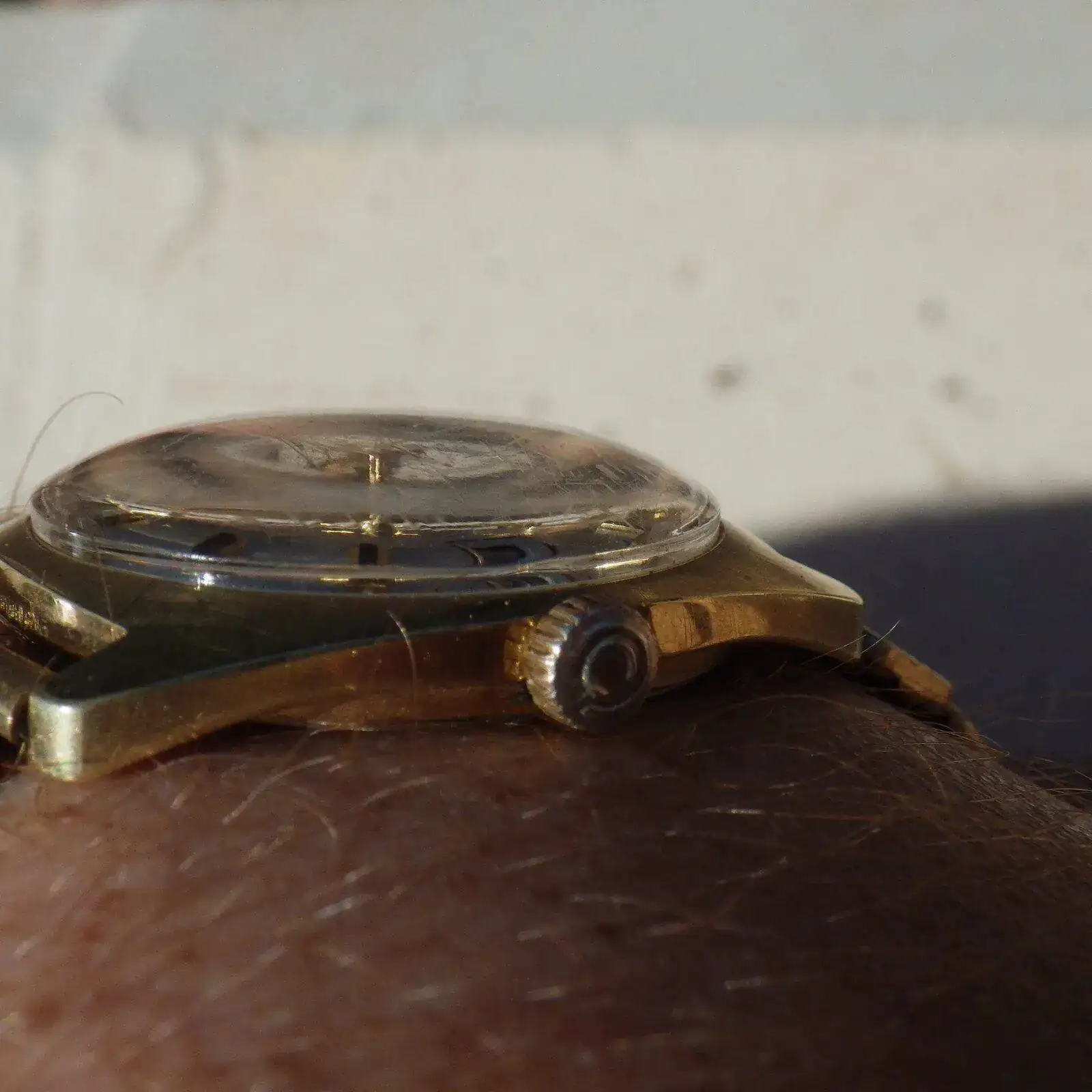 IMGP4921.webp