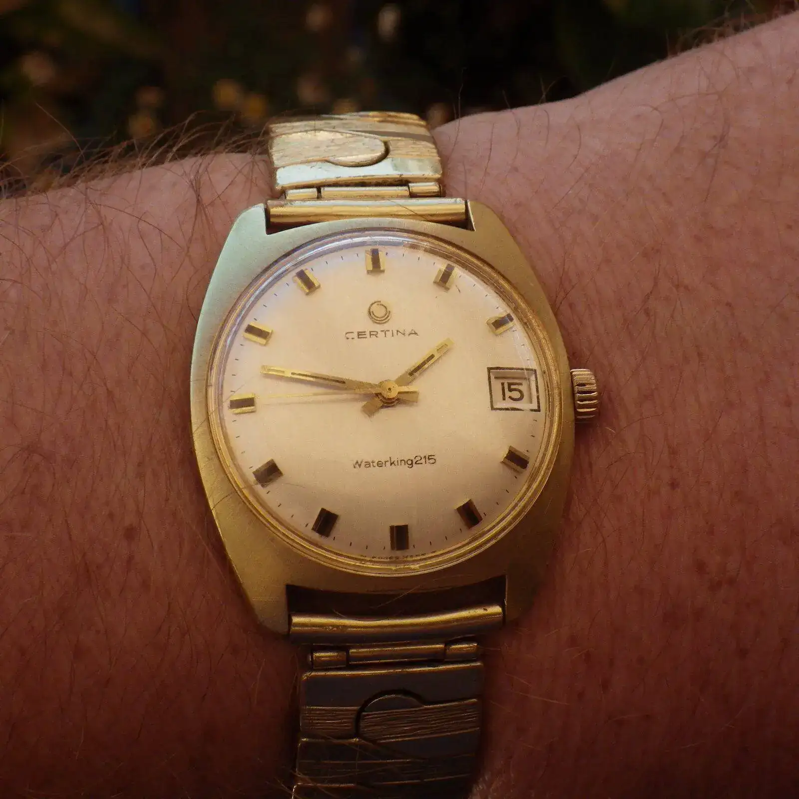 IMGP4923.webp