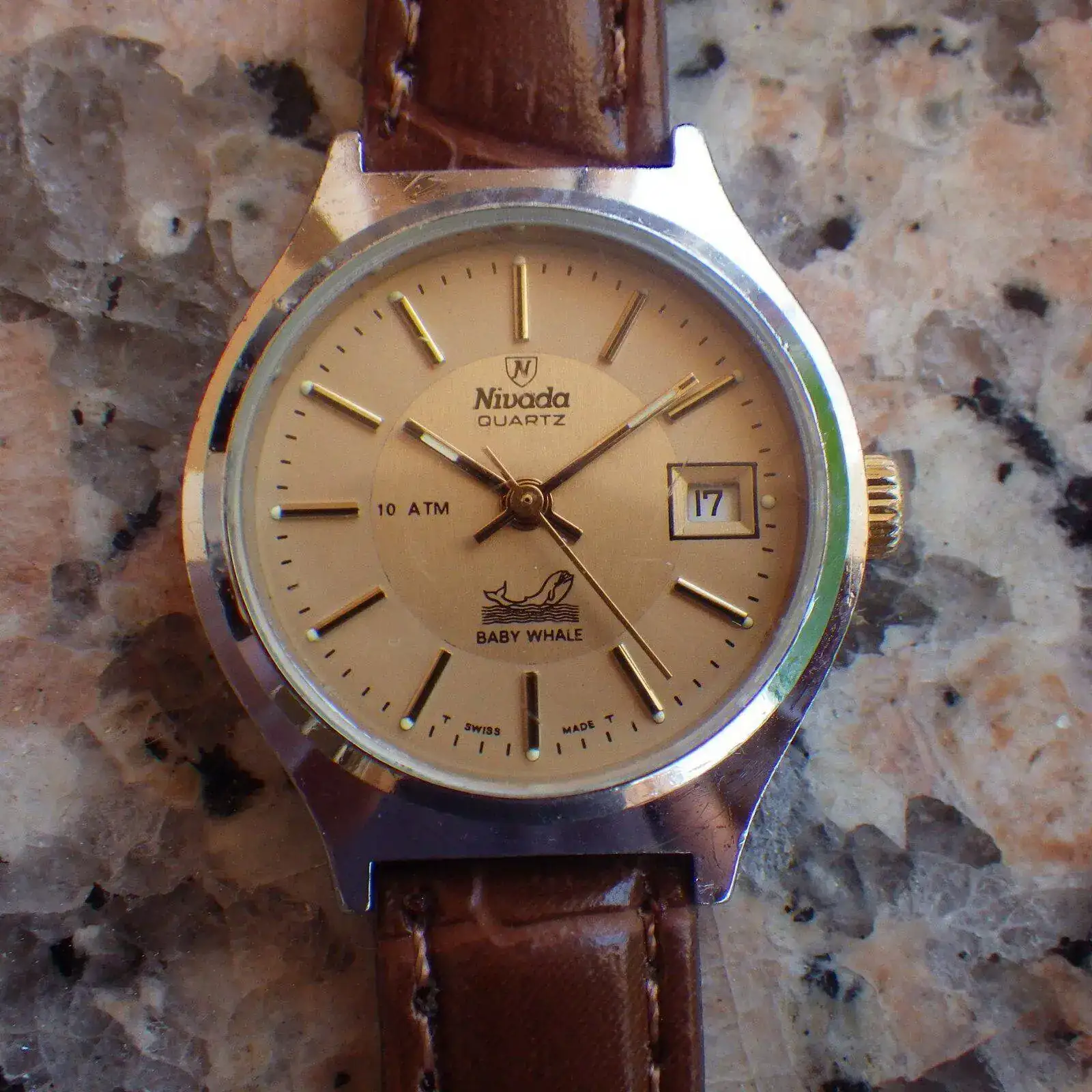 IMGP4944.webp
