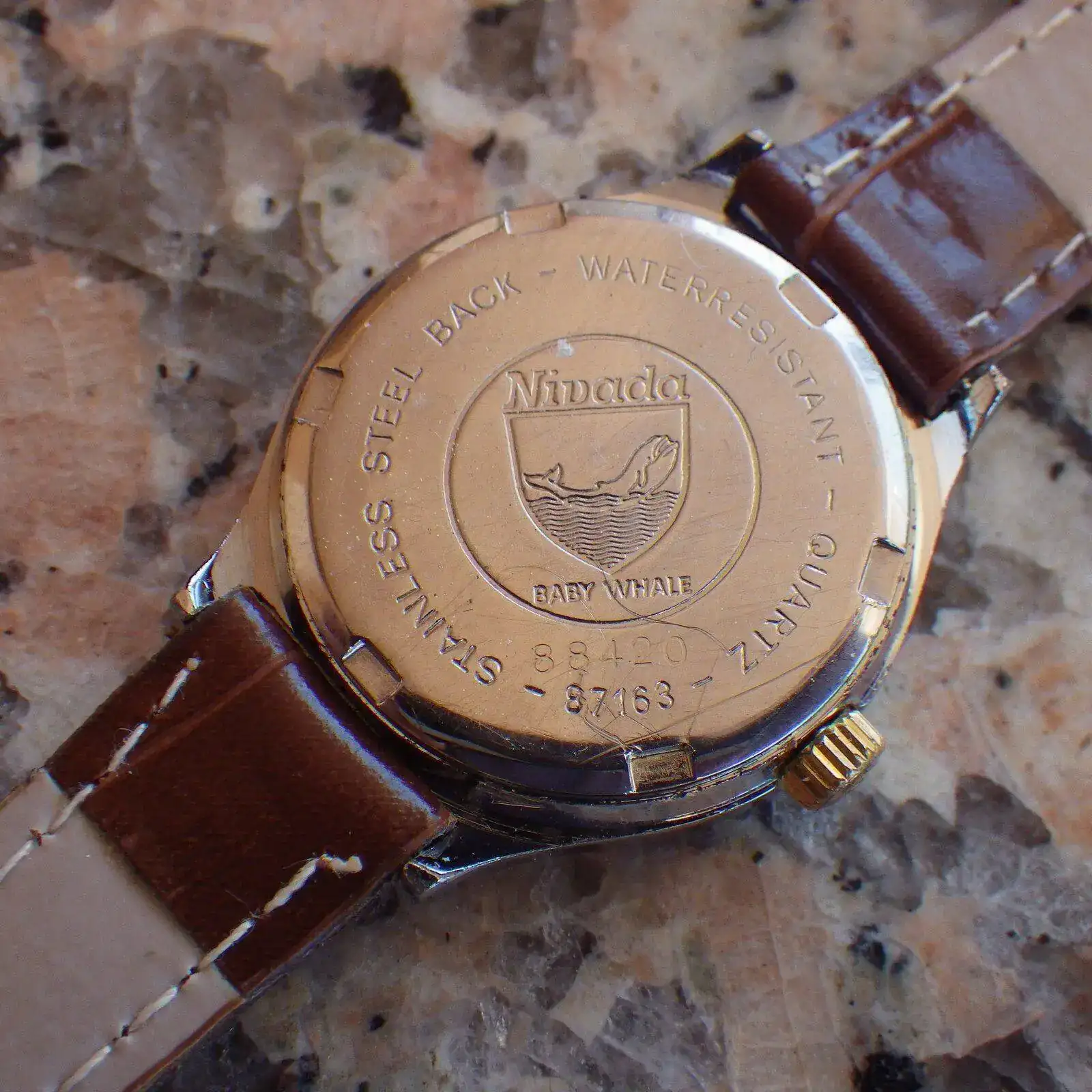 IMGP4946.webp