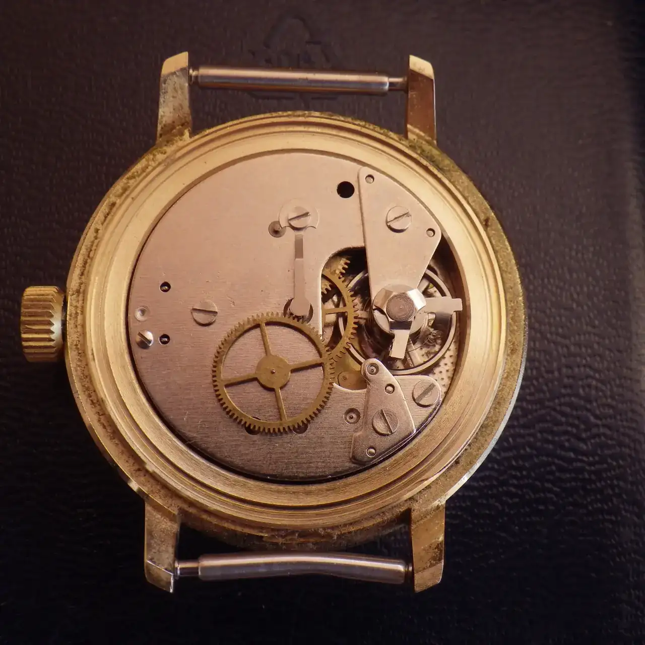 IMGP4961.webp