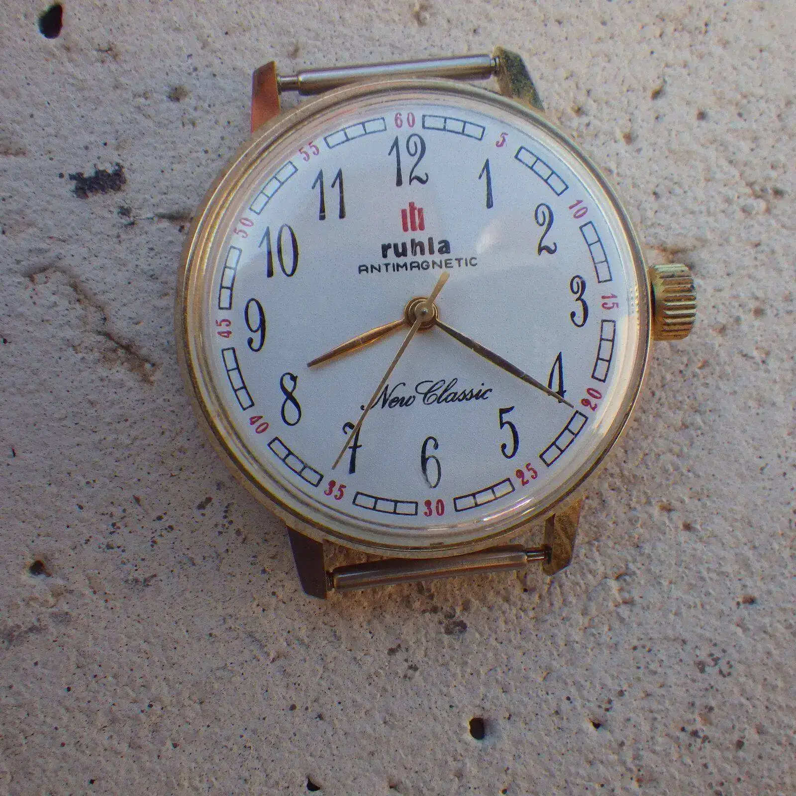 IMGP4966.webp