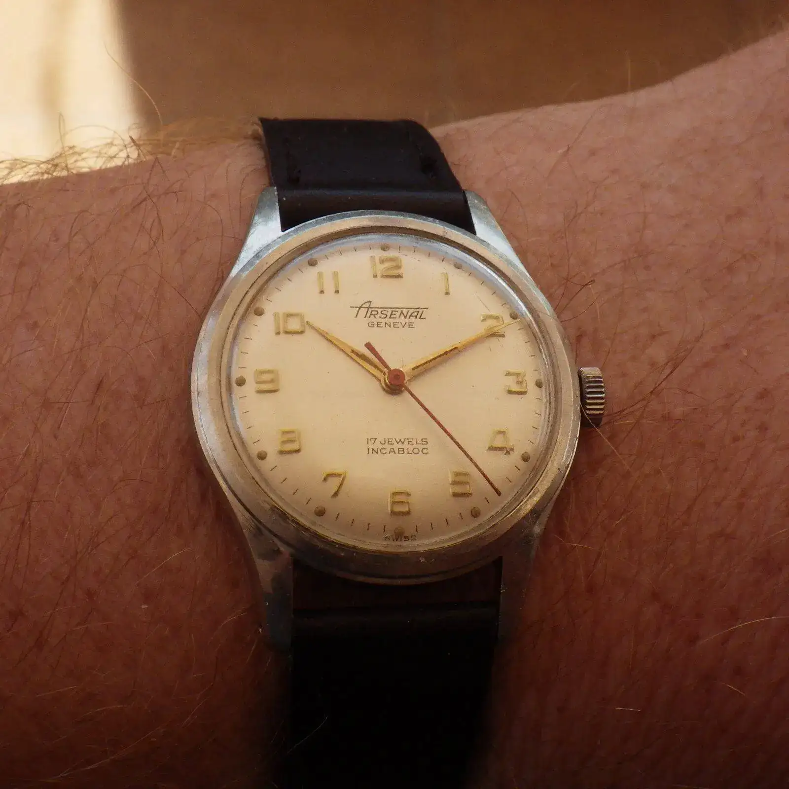 IMGP4989.webp