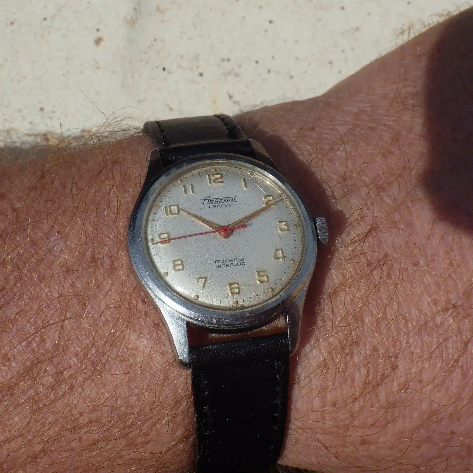 IMGP4991.webp