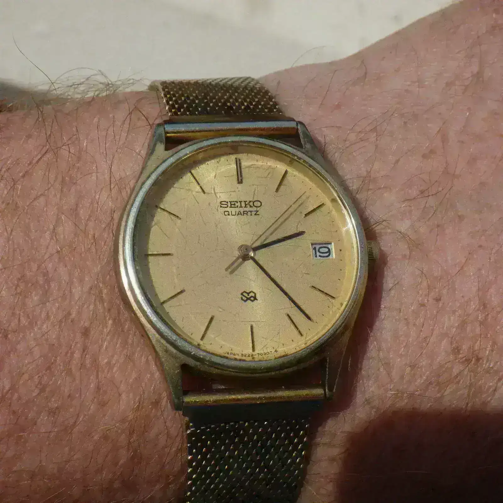IMGP4998.webp