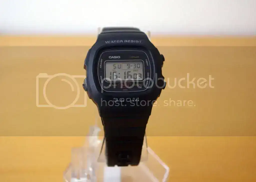 IMGP5008.webp