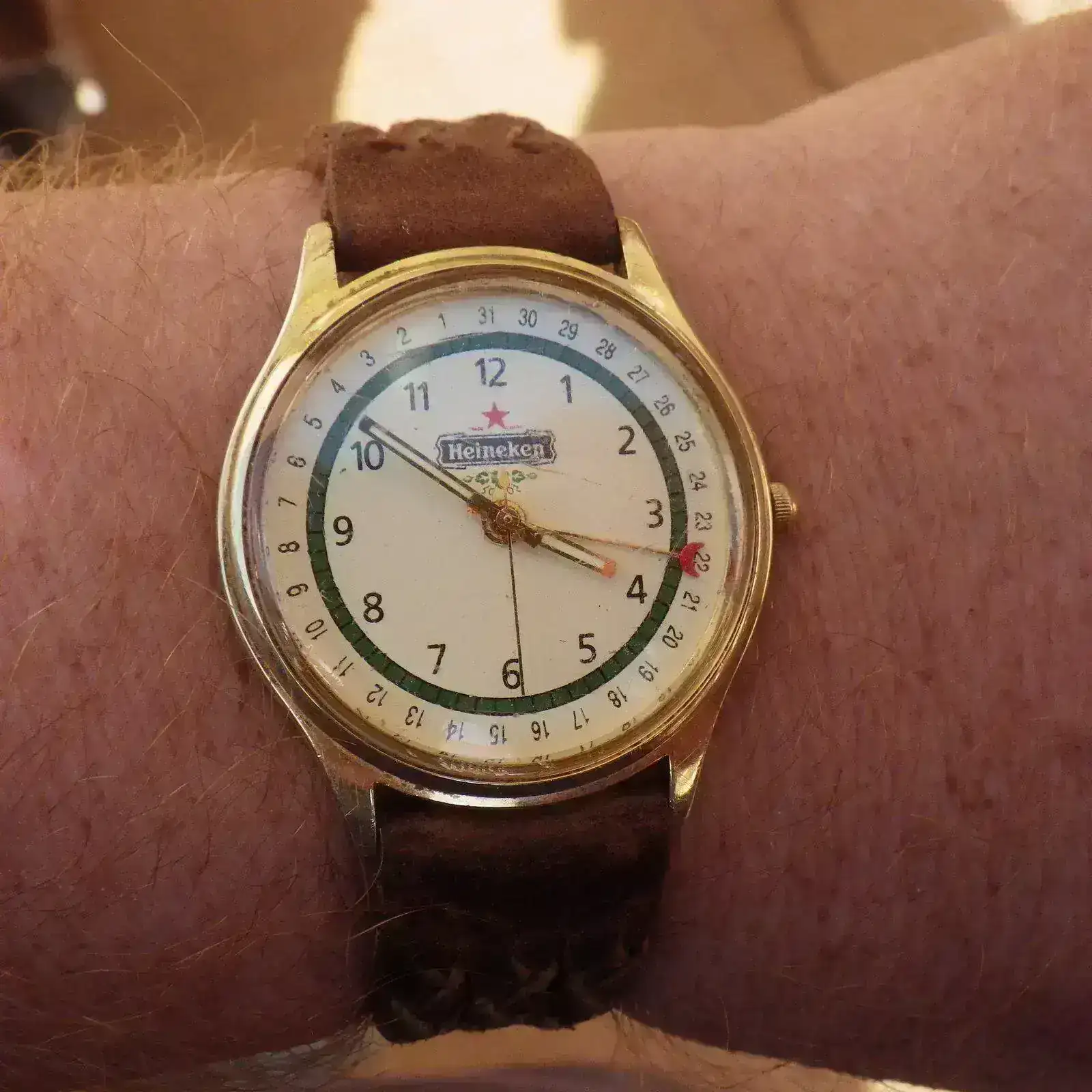 IMGP5018.webp