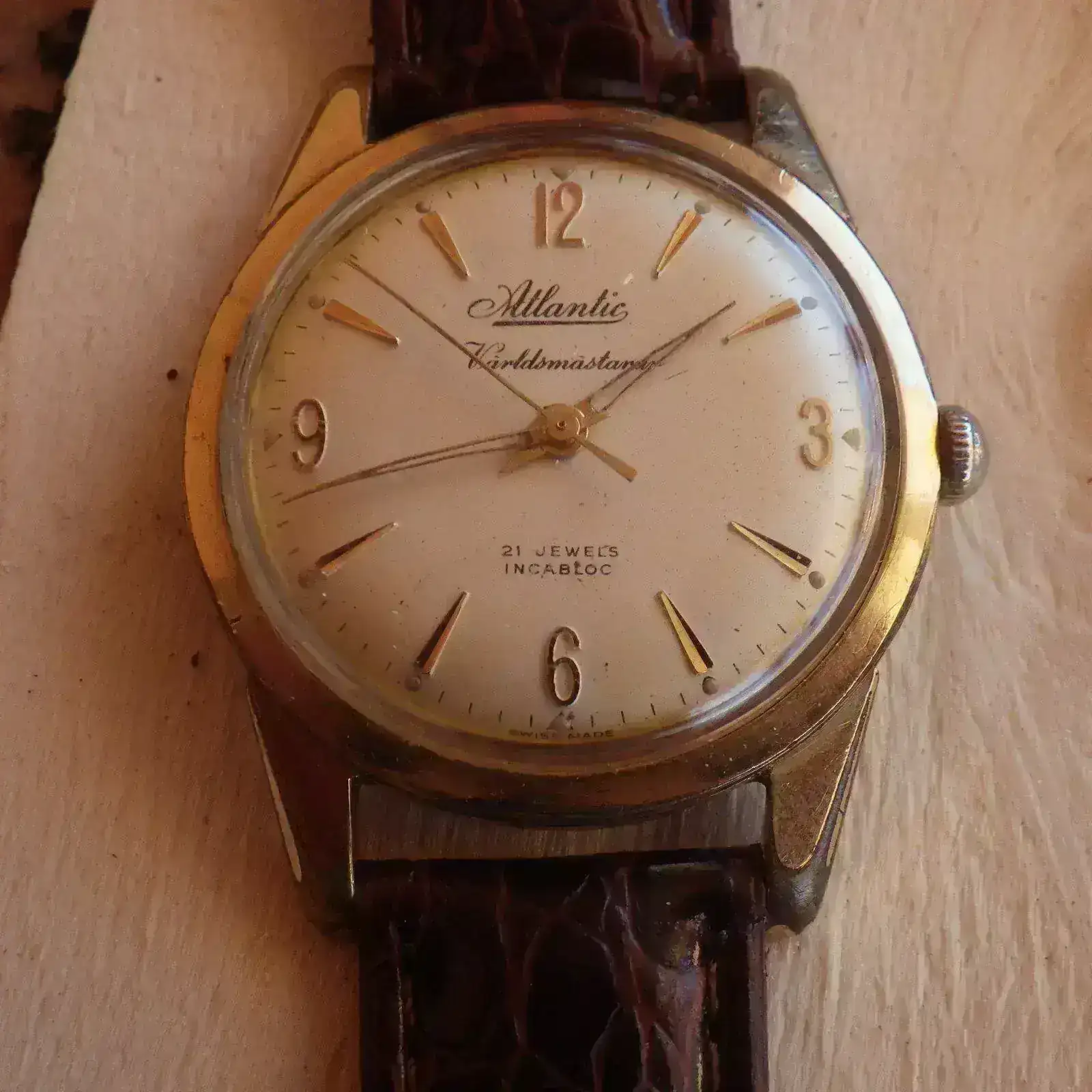 IMGP5031.webp