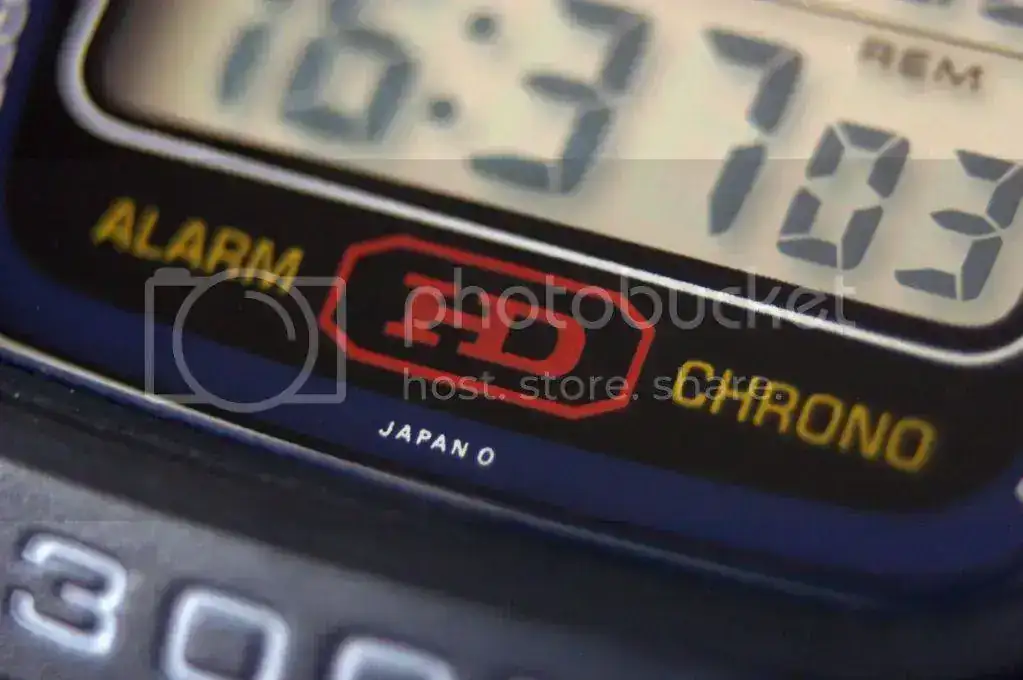 IMGP5044.webp