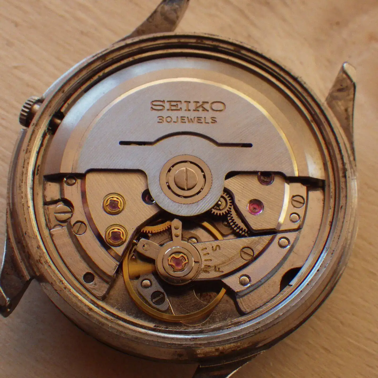 IMGP5067.webp