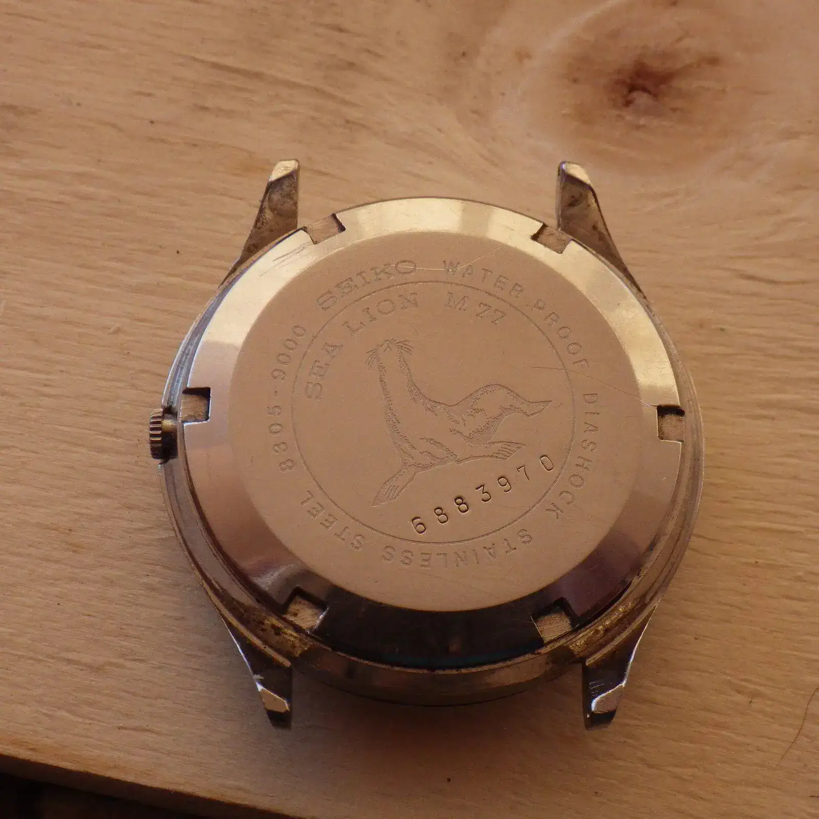IMGP5070.webp