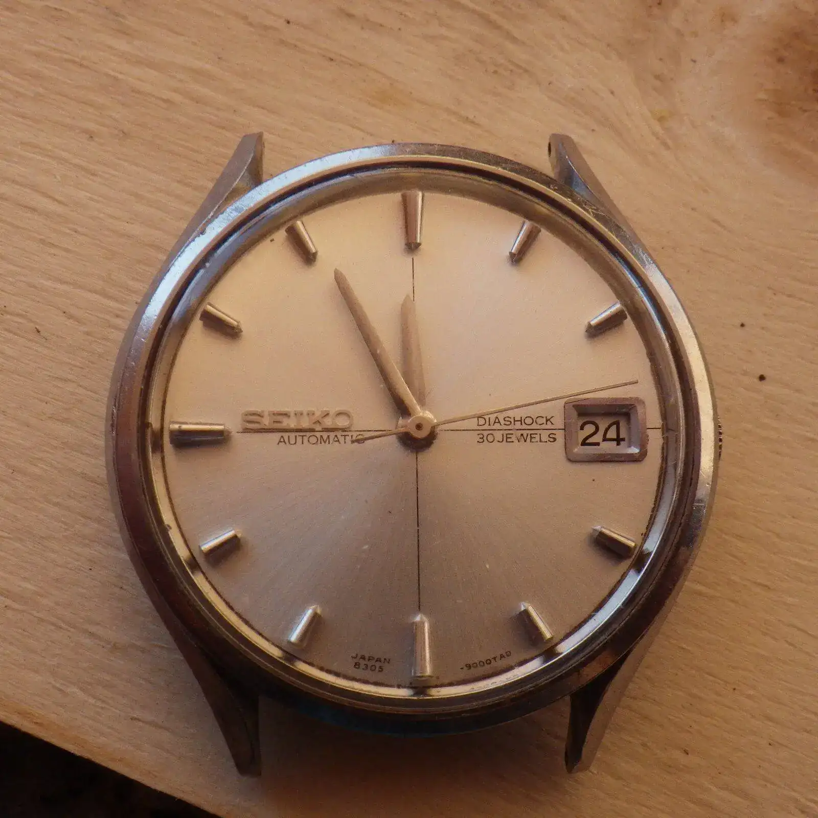 IMGP5071.webp