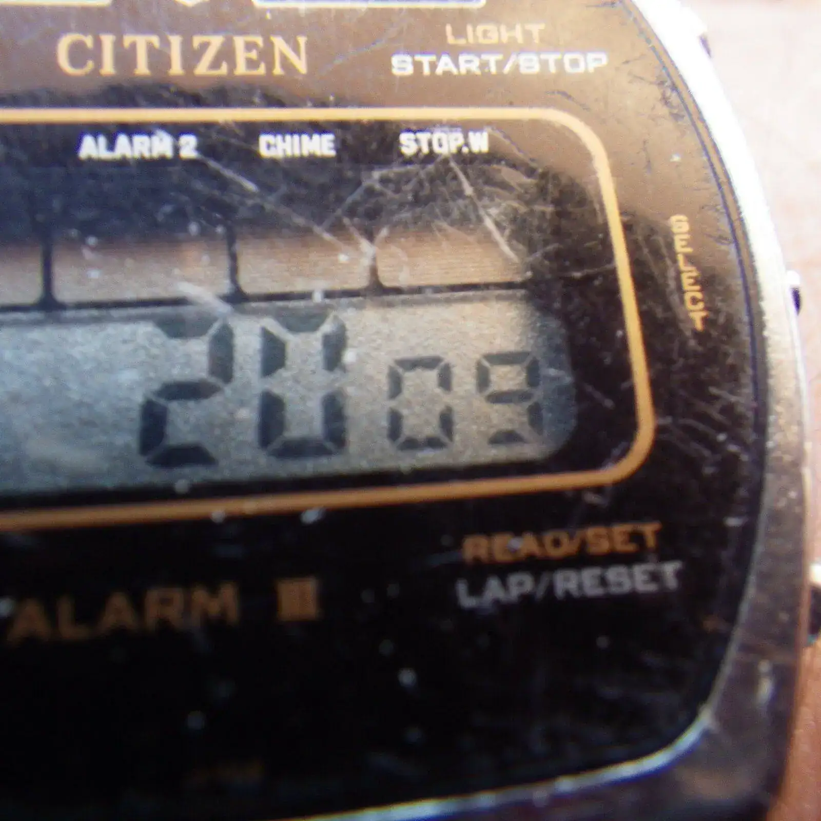 IMGP5079.webp