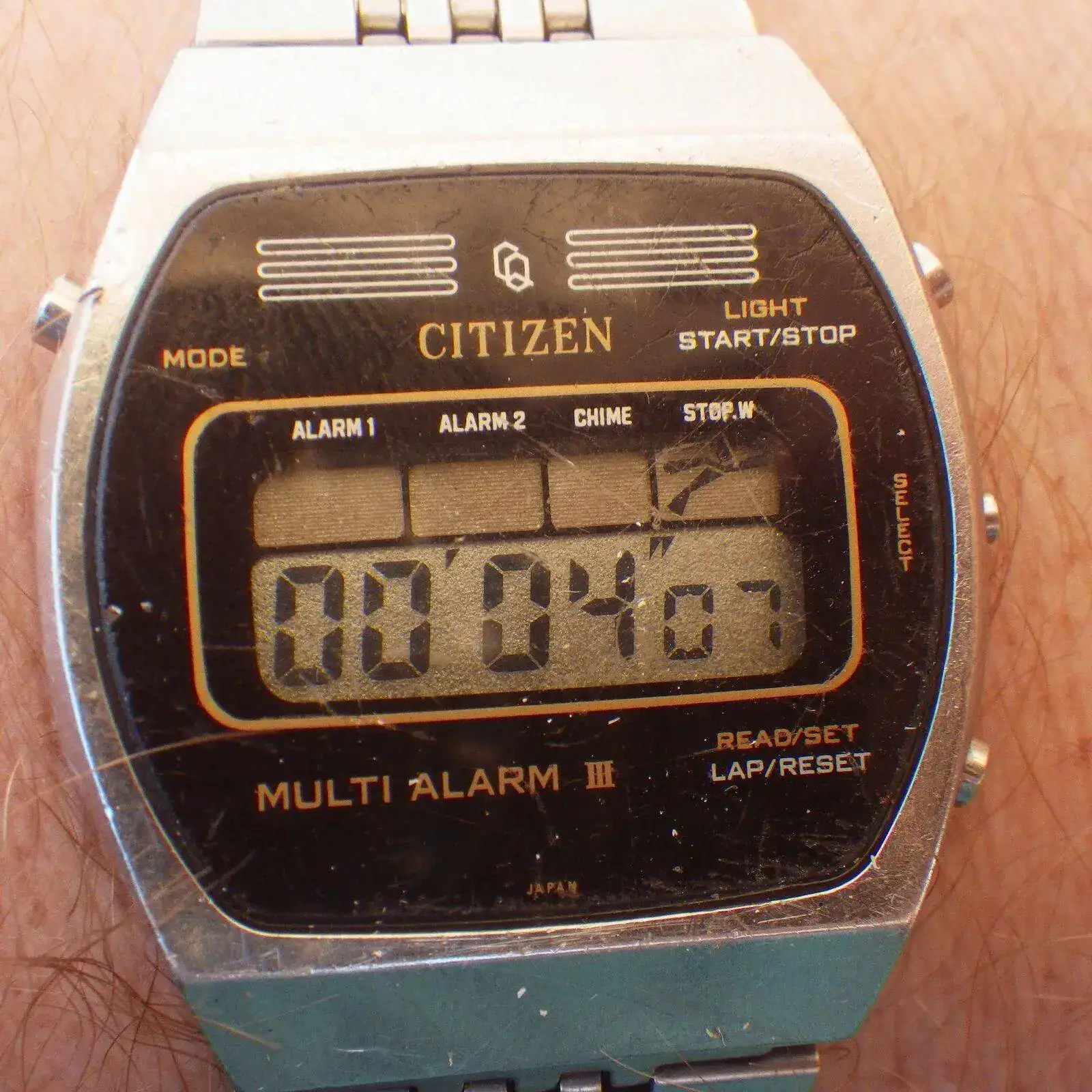 IMGP5083.webp