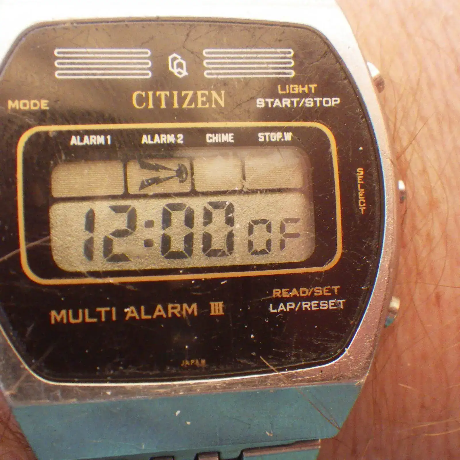 IMGP5086.webp