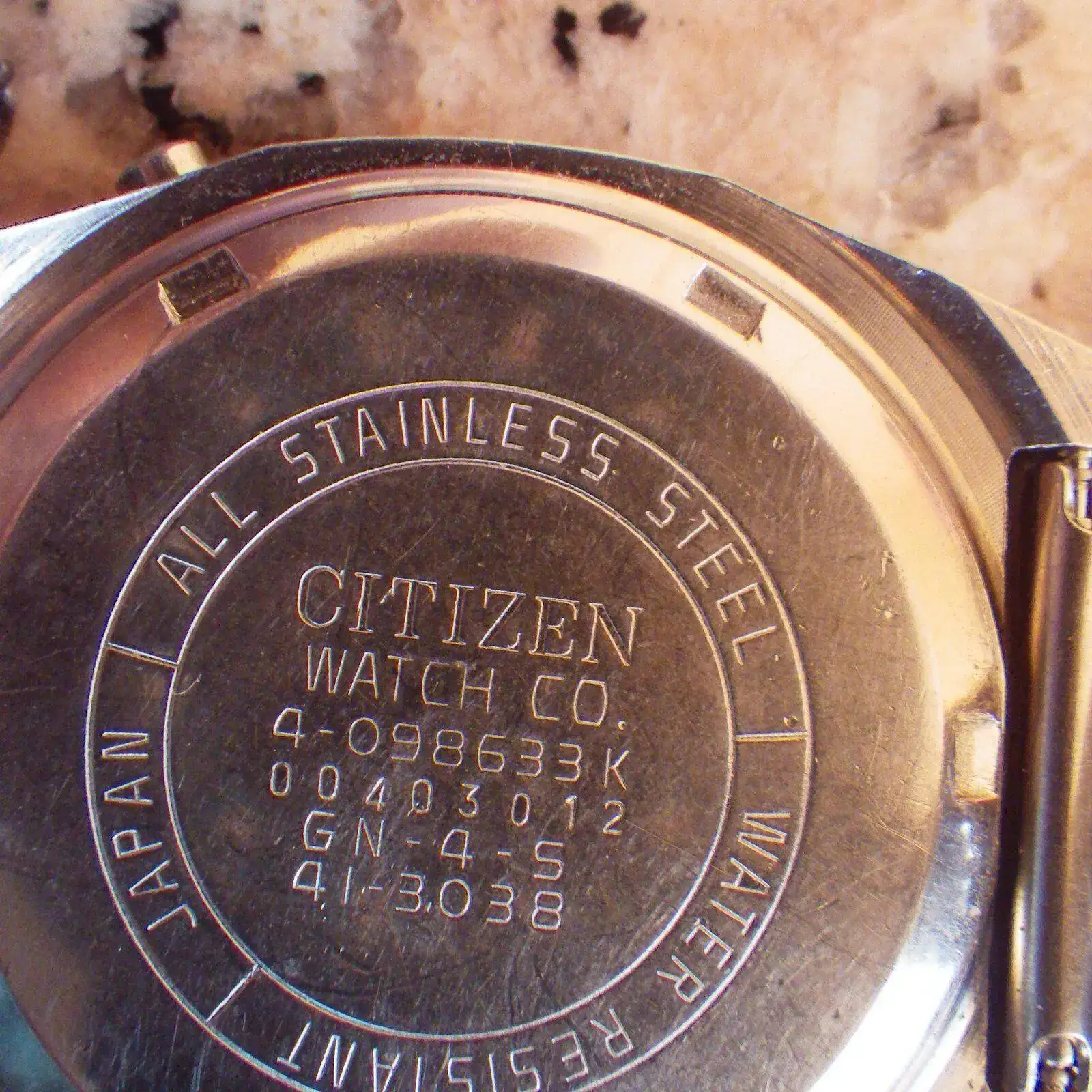 IMGP5090.webp