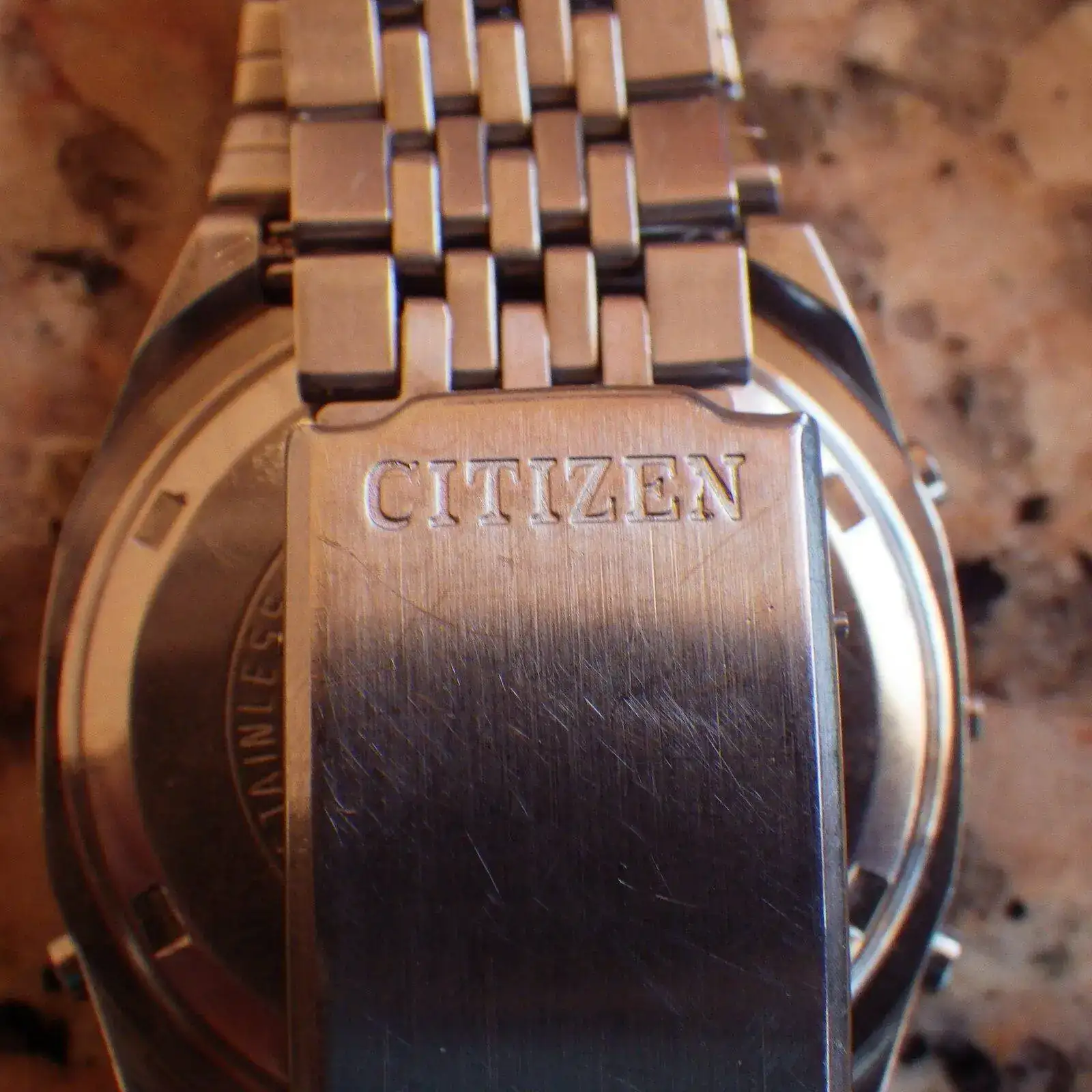 IMGP5091.webp