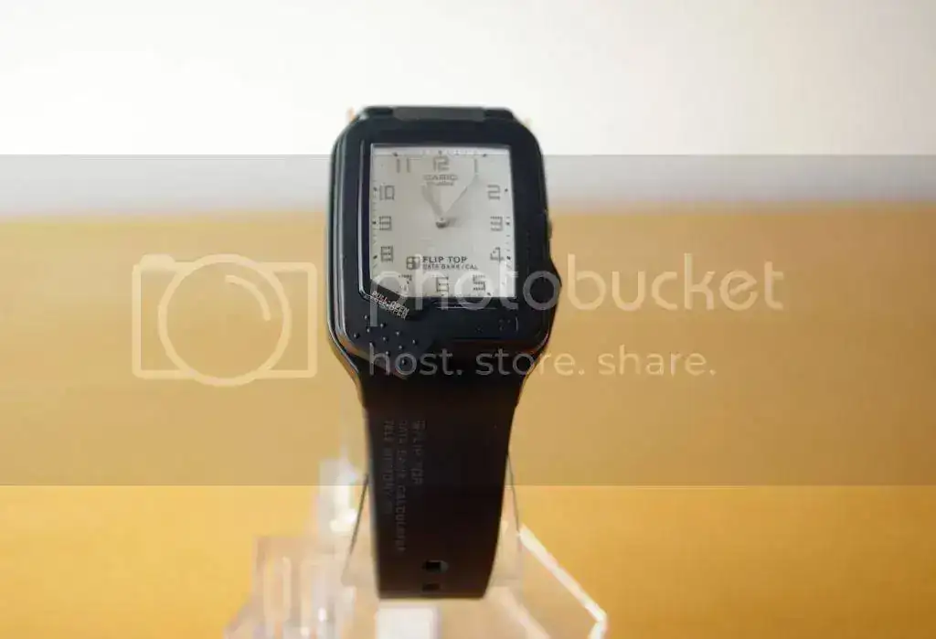 IMGP5105.webp