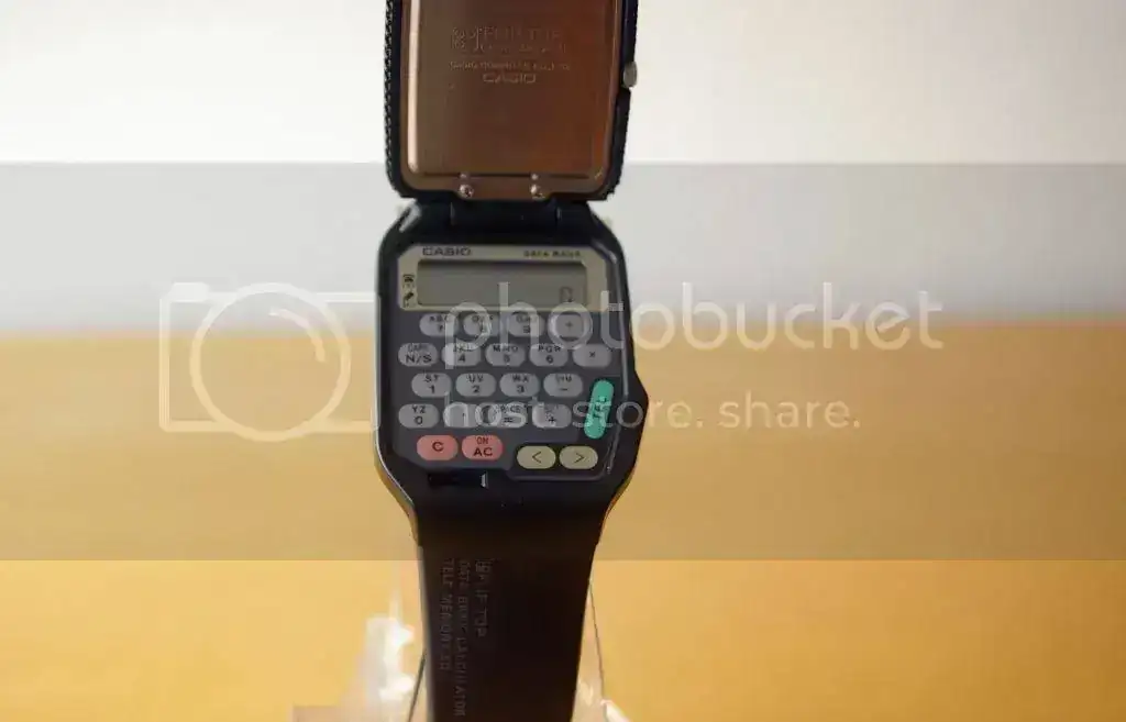 IMGP5106.webp