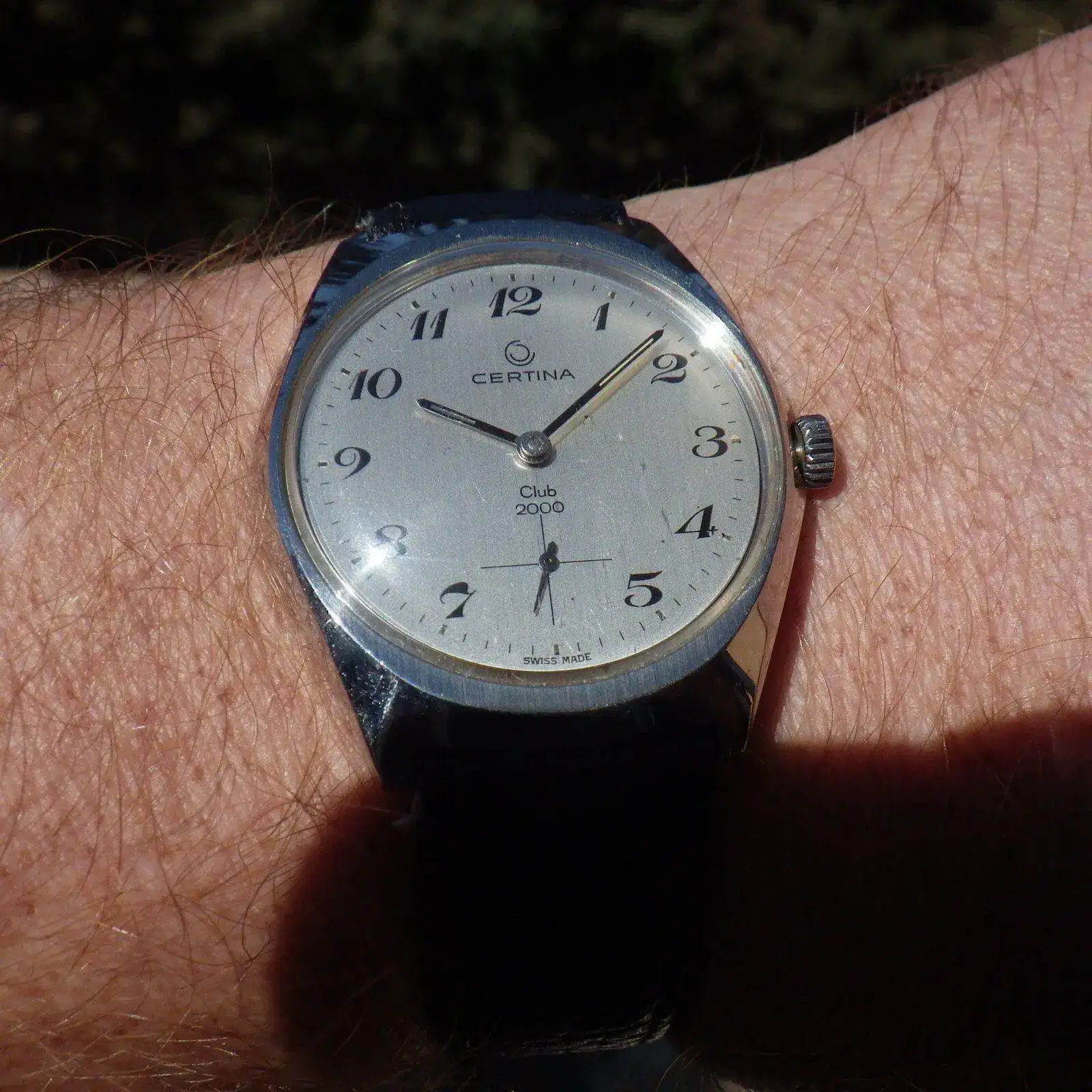 IMGP5111.webp