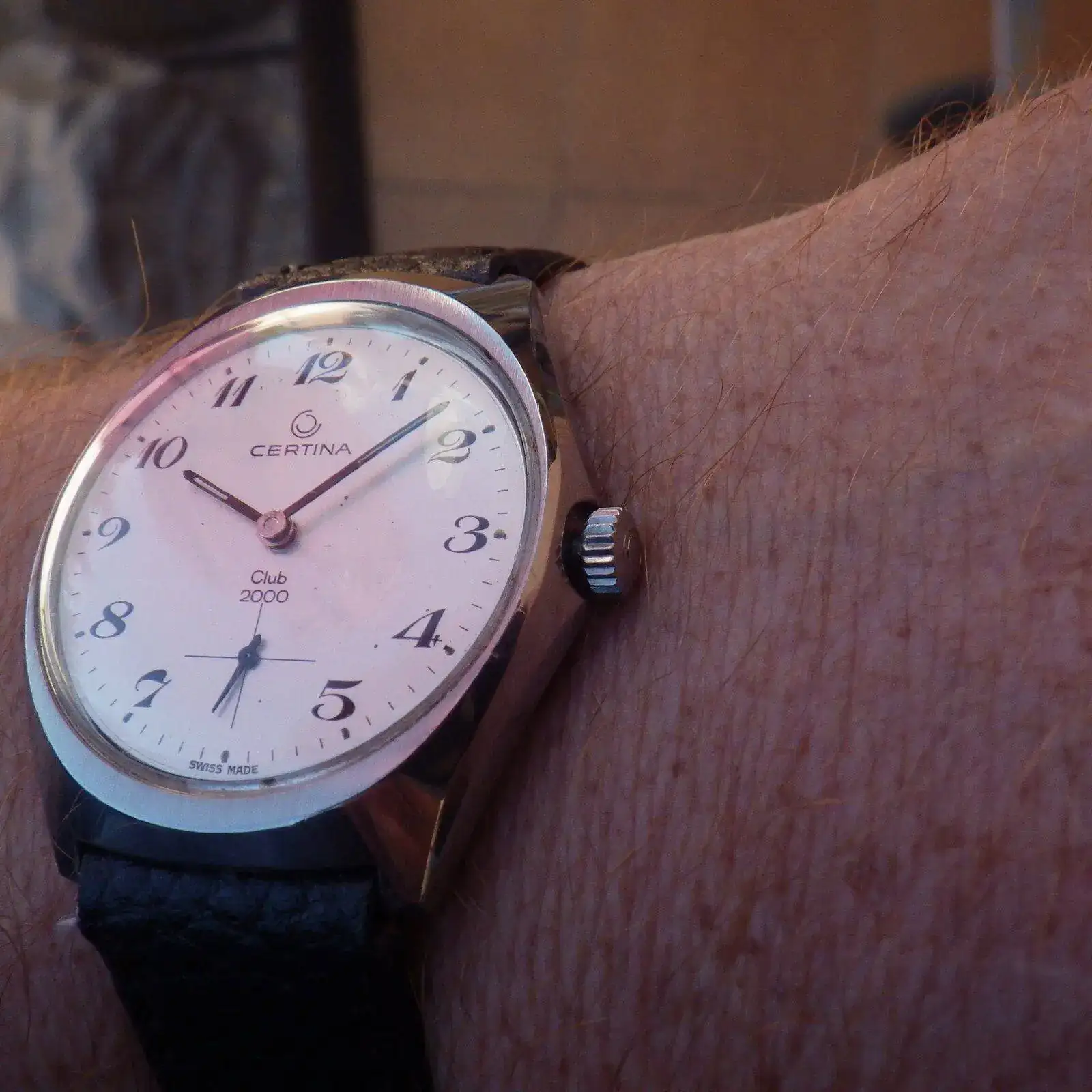 IMGP5117.webp