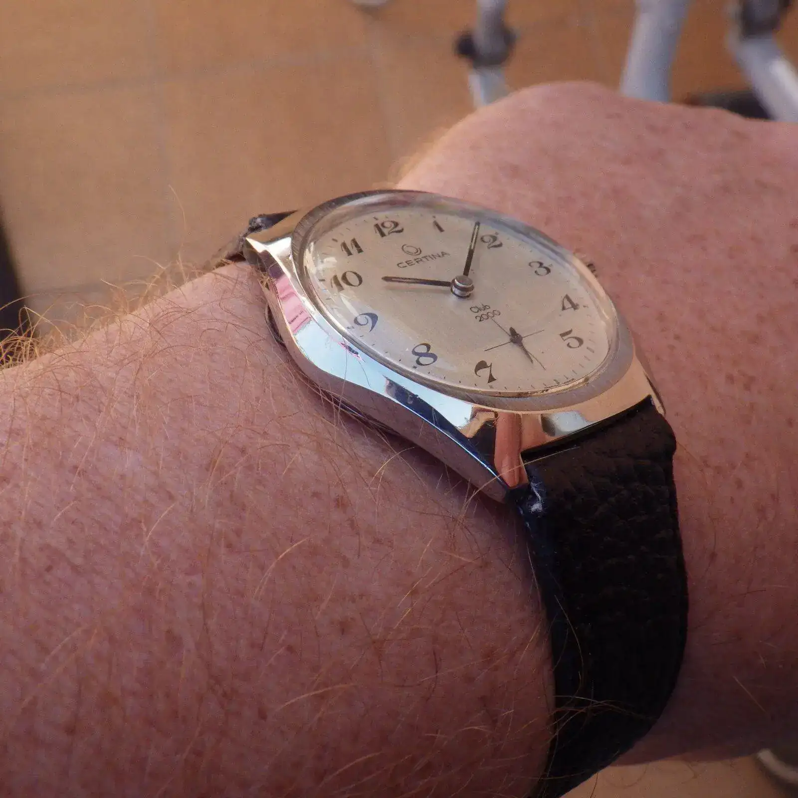 IMGP5118.webp