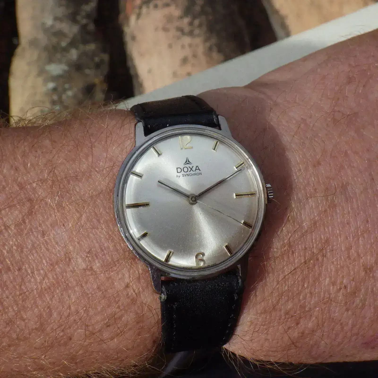 IMGP5163.webp