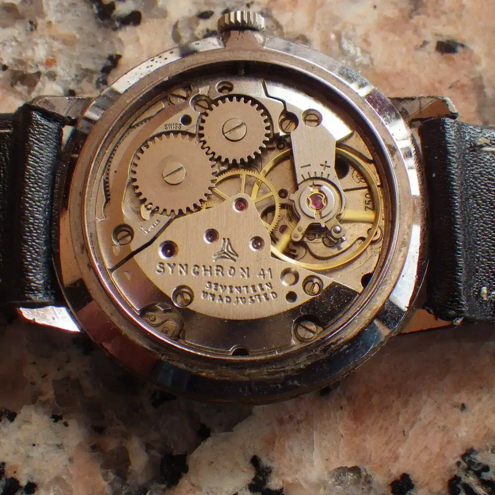IMGP5177.webp