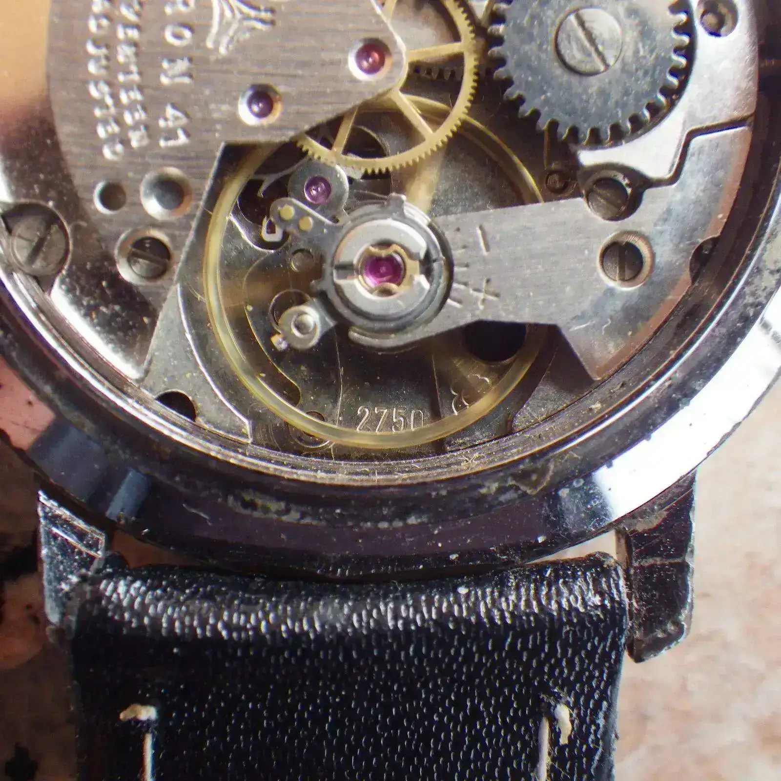 IMGP5178.webp