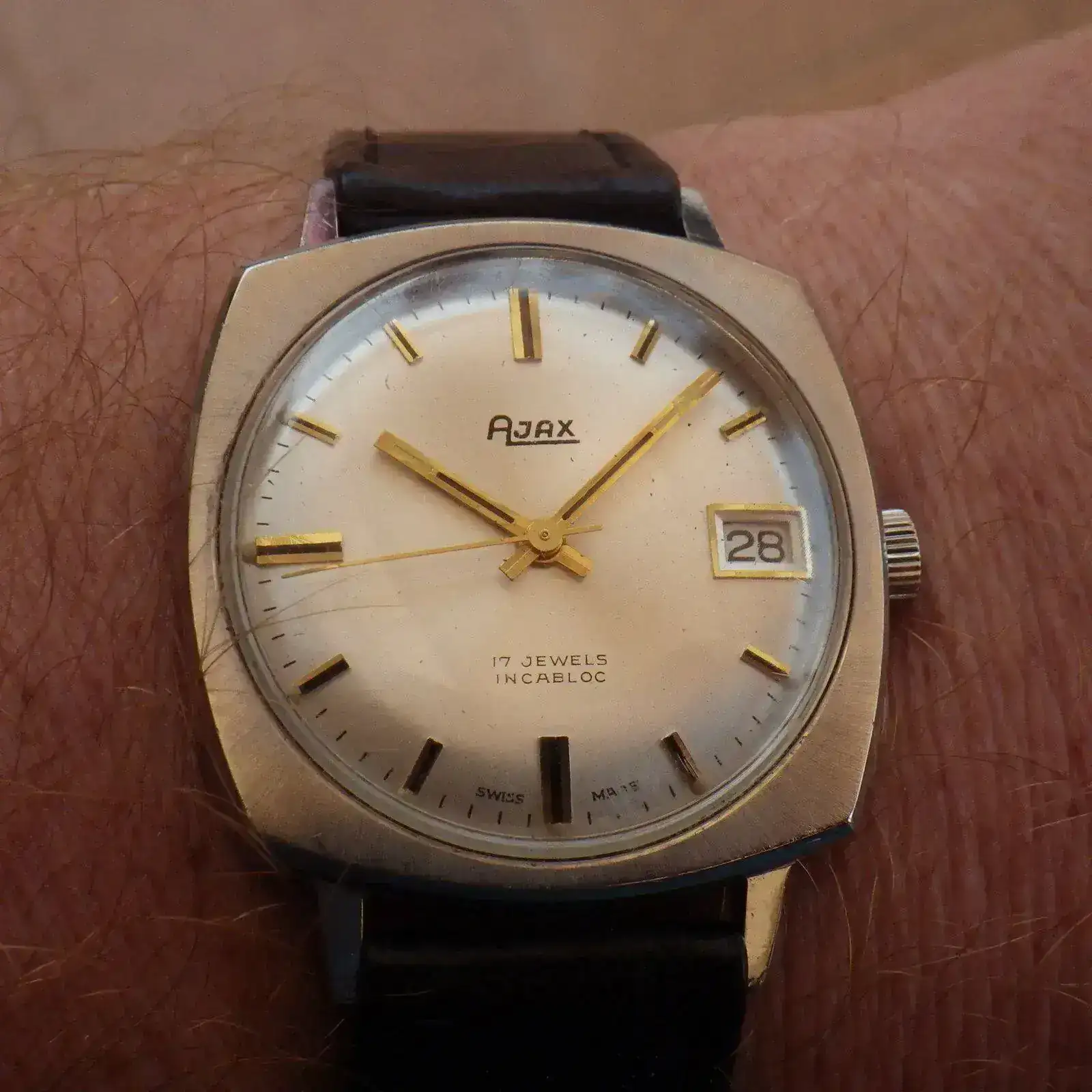 IMGP5187.webp