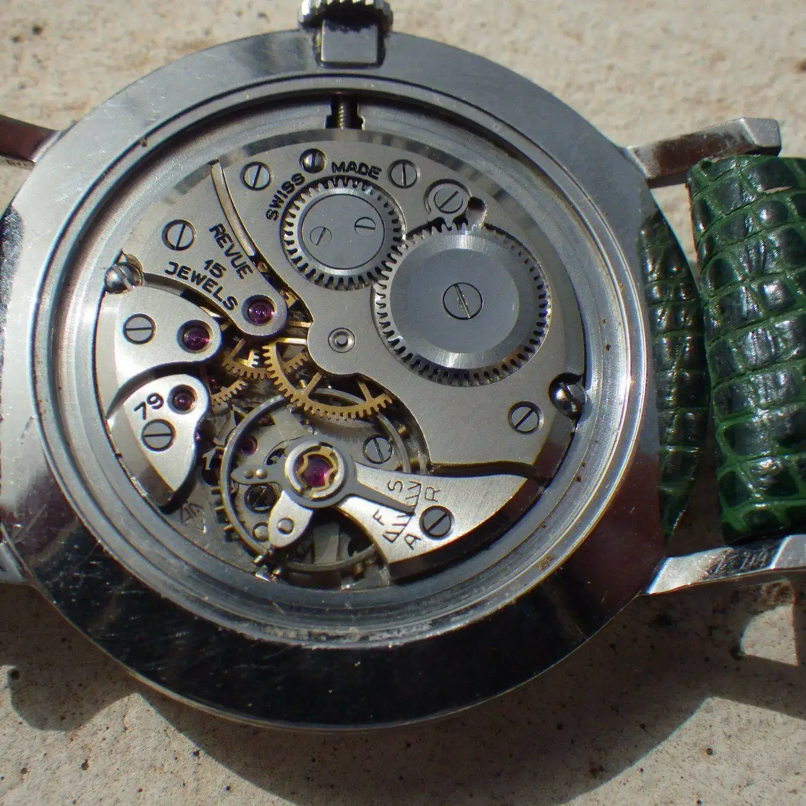 IMGP5226.webp